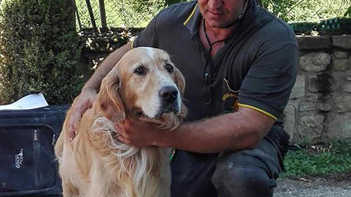 A dog has been found in rubble nine days after a powerful earthquake struck central Italy