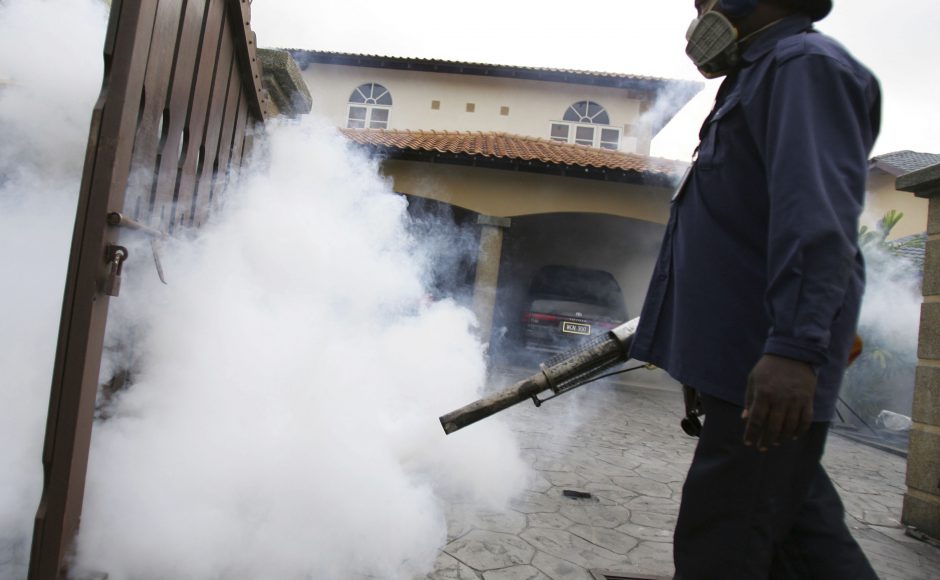 Singapore's Zika tally now 115, first pregnant woman diagnosed