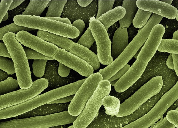 A video showing how bacteria mutate to become super bacteria has gone viral