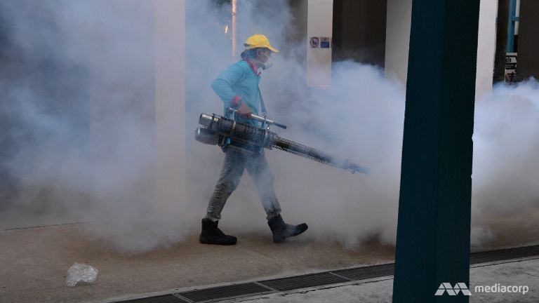 A worker carrying out thermal fogging in Singapore.
   
 

  Enlarge  Caption