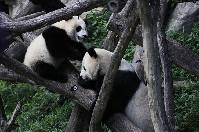 Adorable Zoo Babies