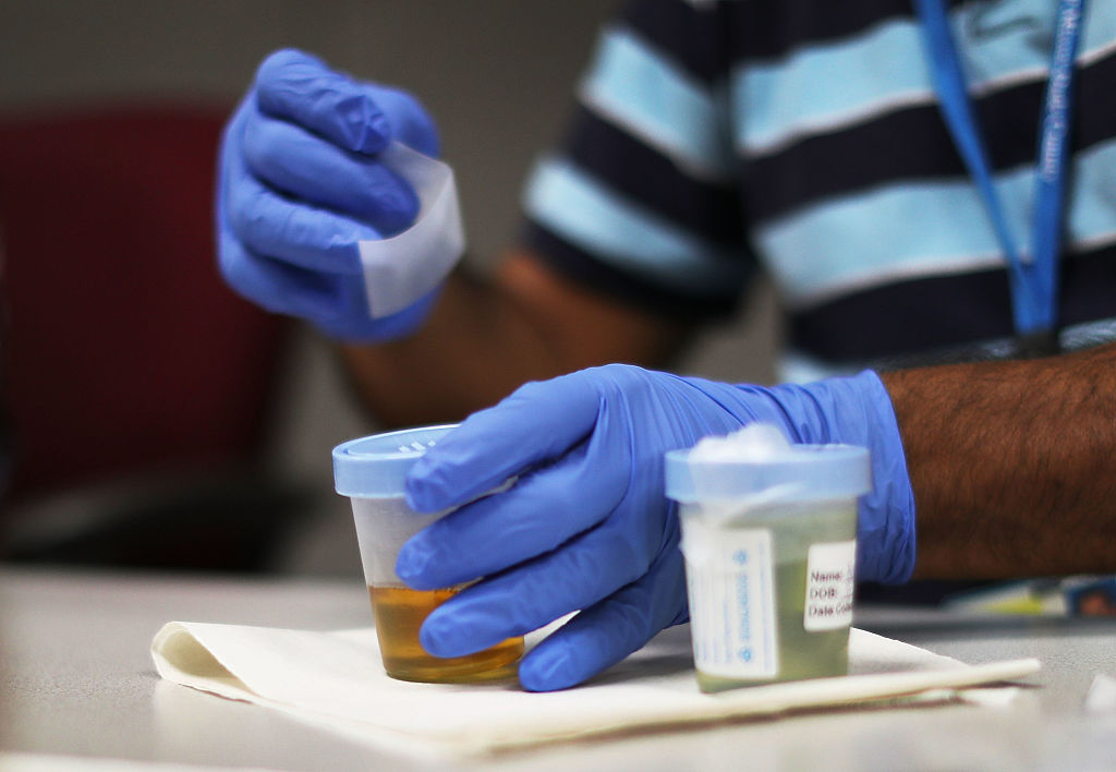 SEPTEMBER 13 A Florida Department of Health worker packages up a urine sample to be tested for the Zika virus as they provide people with a free Zika virus test at a temporary clinic setup at the Miami Beach Police Department