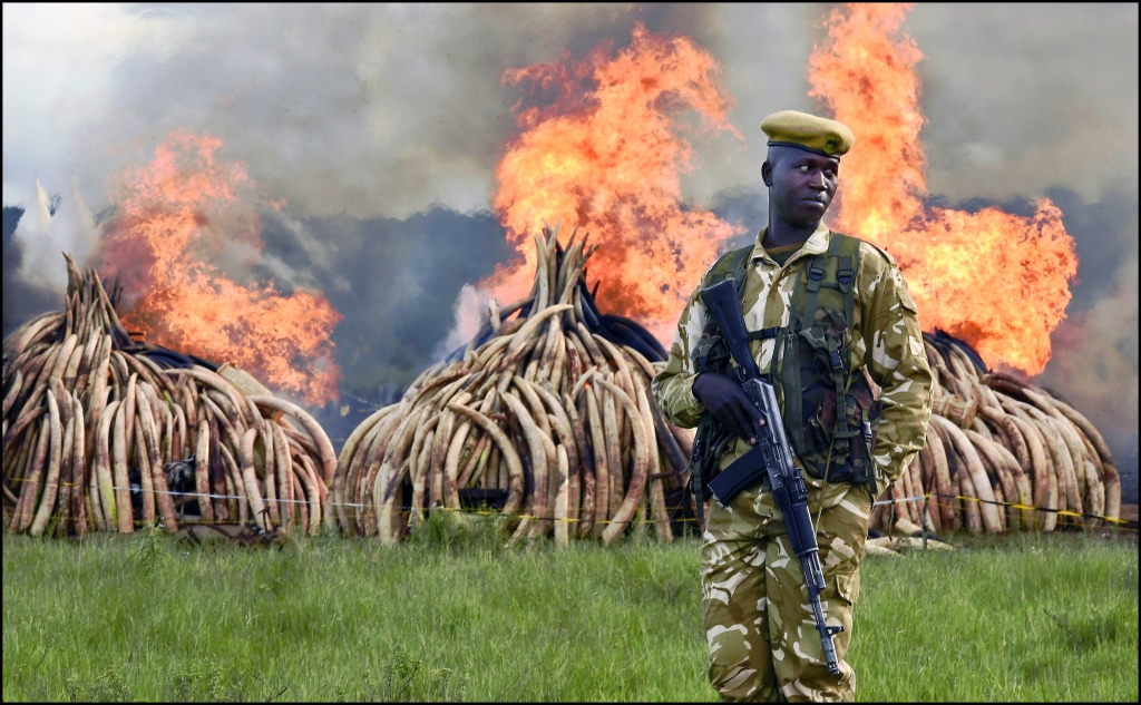 African countries lash out at Western charities at international wildlife conservation meeting