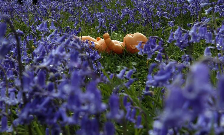 A doll lies in a bed of bluebells after being dropped by a child in Glenariffe Glen in the Antrim Glens Northern Ireland