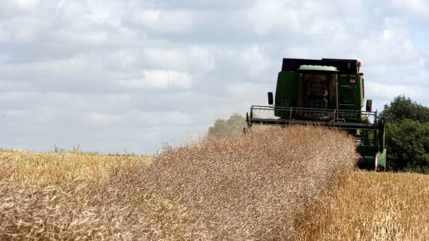 Bayer is to acquire Monsanto in a deal creating the world's largest seeds and pesticides firm