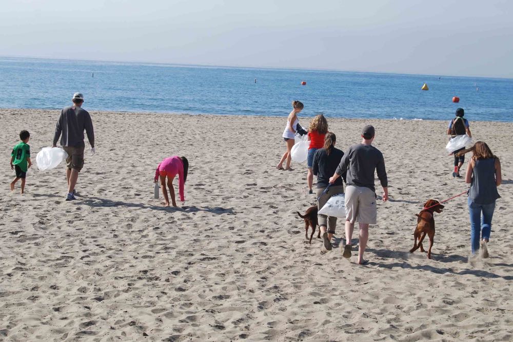 International Coastal Cleanup Day volunteers fan out at Santa Barbara’s Leadbetter Beach to pick up trash Saturday morning