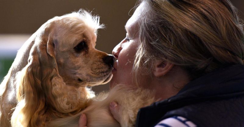 Yes your dog really can understand you