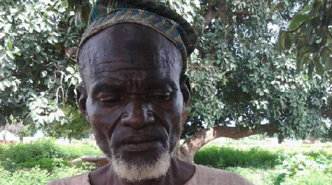 Army ‘arrests’ insurgent who raises sells sheep for Boko Haram