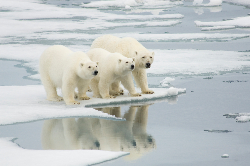 Brazil ratifies Paris Agreement to reduce emission of CO2