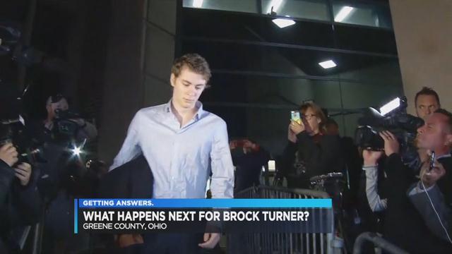 Stanford swimmer convicted of sex assault released from jail