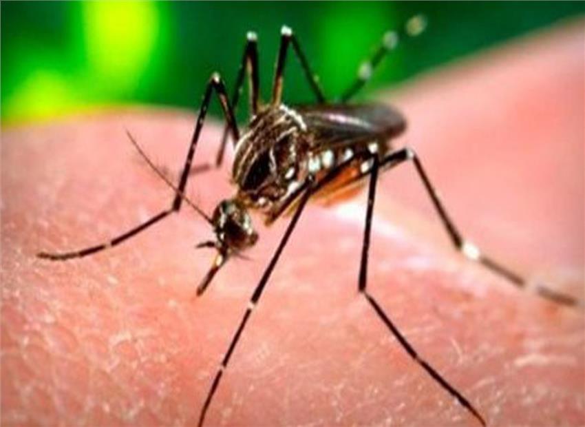 CDC Director: Just a few weeks' of Zika funding remain