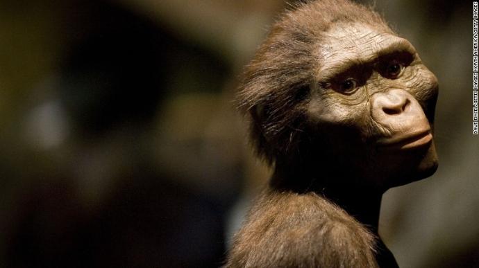 Scientists determined that Lucy, our oldest human ancestor, probably died because she fell out of a tree