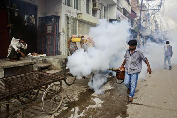 Delhi confirms first chikungunya death, another suspected