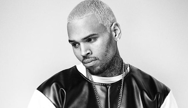 Chris Brown Releases New Song 'What Would You Do&#039 1