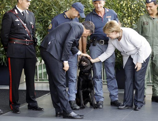 German Chancellor Angela Merkel right and Italian Premier Matteo Renzi pat Leo the black Labrador retriever who helped pull out 4-year-old Giorgia Rinaldo from under the rubble of the town of Pescara del Tronto following an earthquake that ravaged cent