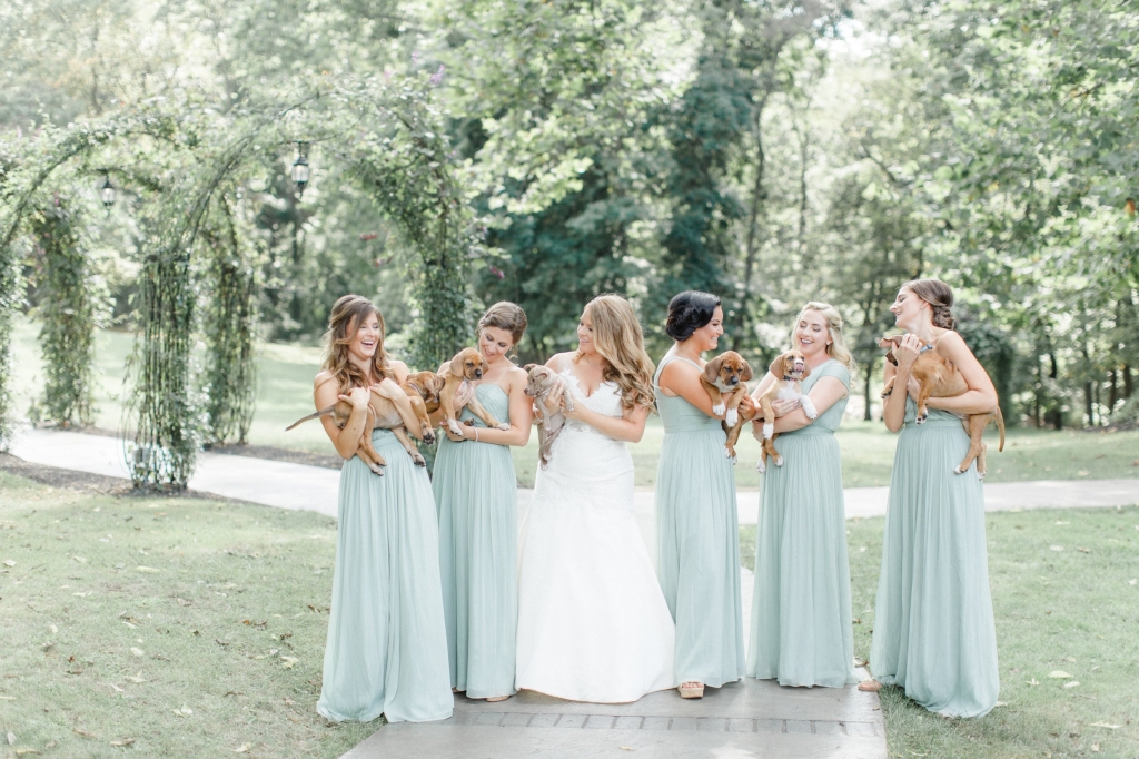 This bridal party carried rescue puppies instead of bouquets