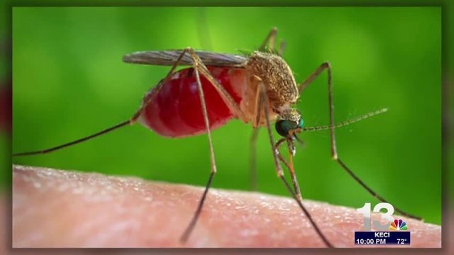 First West Nile Virus death for 2016 reported in Mc Cone County