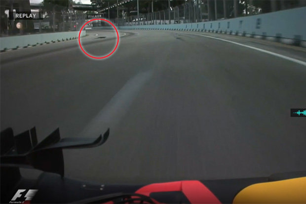 Monitor lizard on F1 track