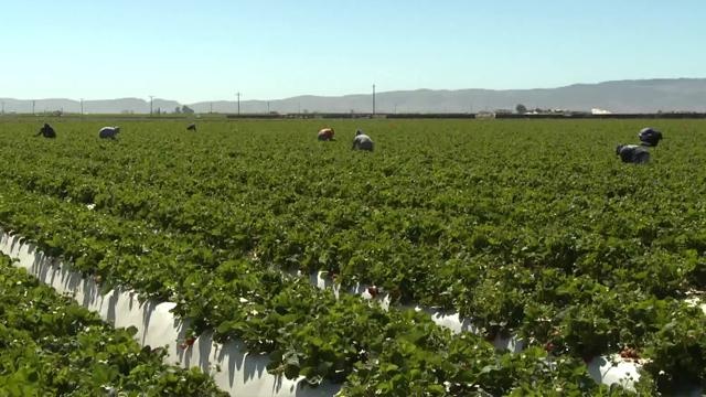 Bill to increase farm overtime moves to California governor