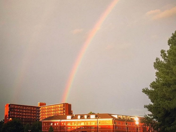 UNC rainbow HB2 ruling