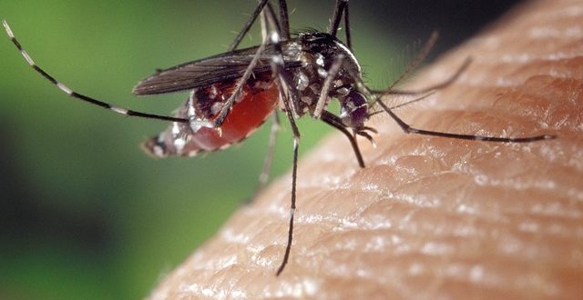 First Travel Related Zika Case Confirmed in Atlantic County