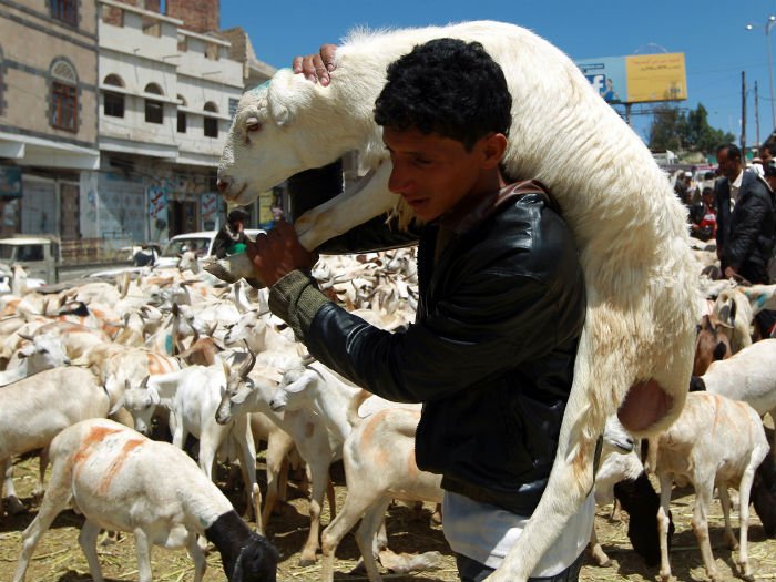 Five Interesting Facts To Know About Eid al Adha Or'Bakra Eid