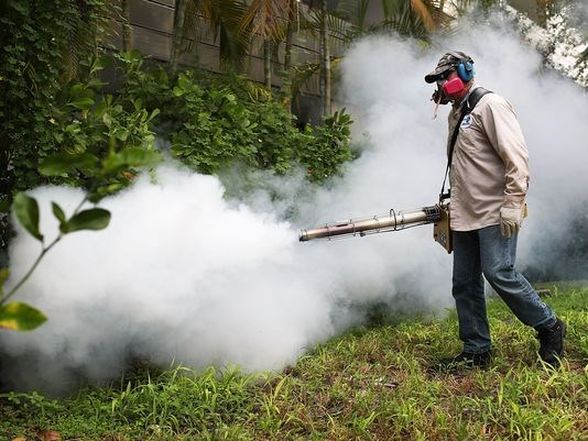 Florida Gov: Miami's Wynwood area no longer active Zika zone