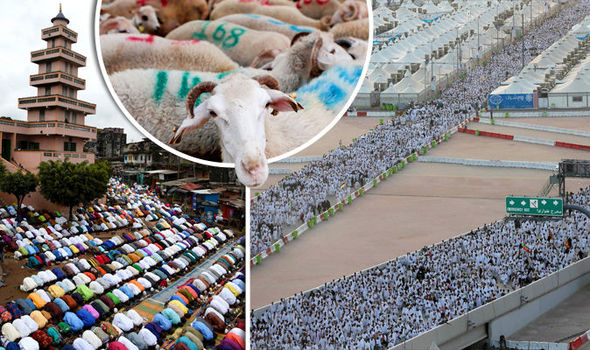 GETTY•EPAMuslims sacrifice rams and other animals to mark Eid Ul-Adha