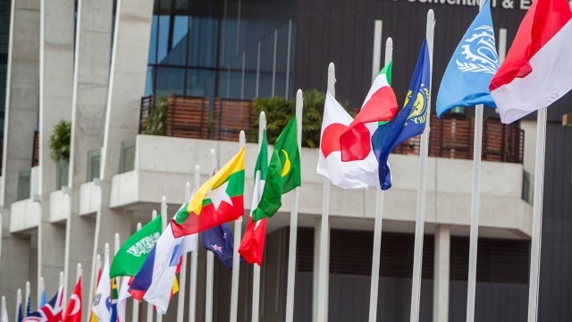 G20 flags