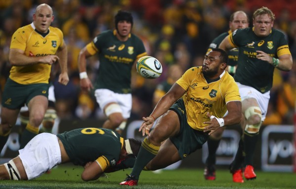 Rugby Championship Odds: Wallabies Tipped to Bounce Back Against Springboks