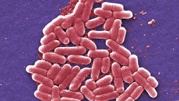 CDC Study Finds Increased Use of Powerful Antibiotics at US Hospitals