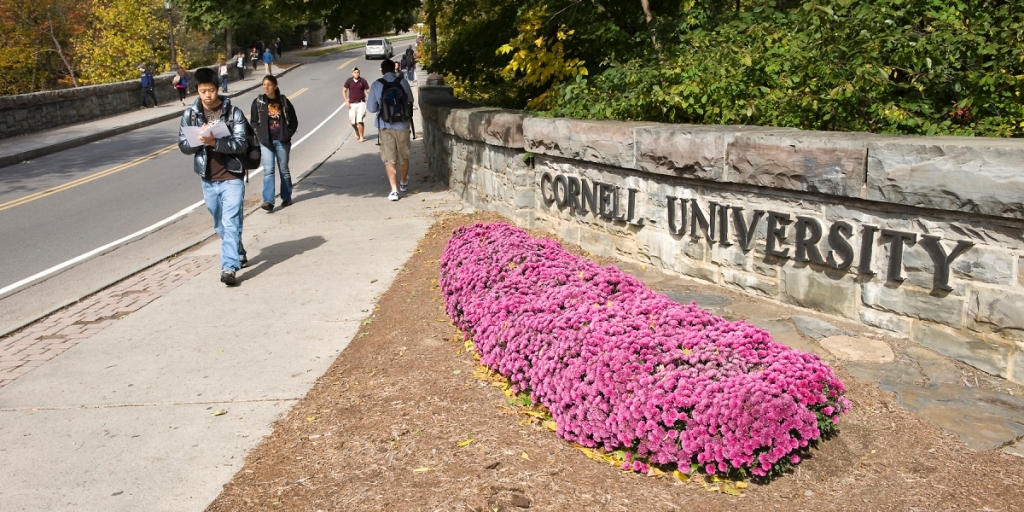 Student fatally stabbed at Cornell University