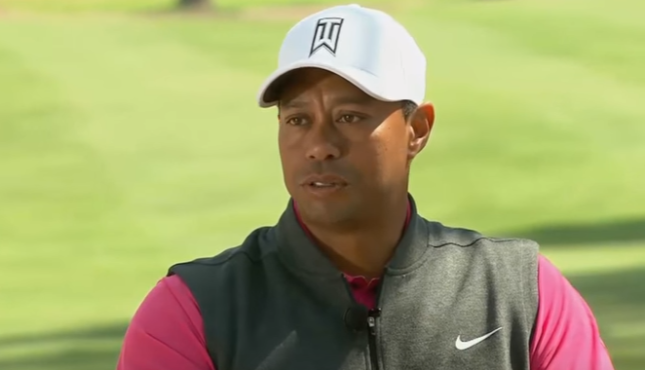 Tiger Woods Youtube Grab