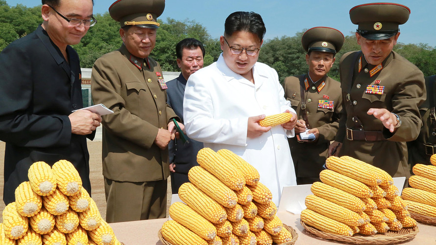 KCNA via Reuters North Korean leader Kim Jong Un inspects corn in this undated