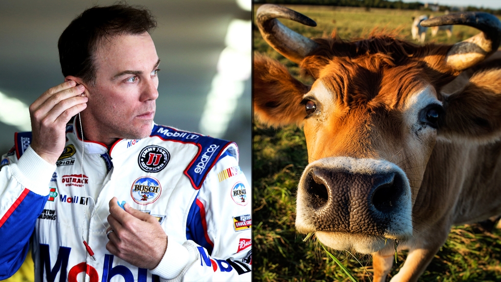 Kevin Harvick is taking no'bull for the remainder of the 2016 Sprint Cup season as he alluded to Monday afternoon on Twitter