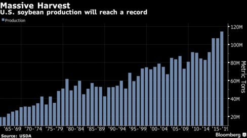 Wheat markets move higher