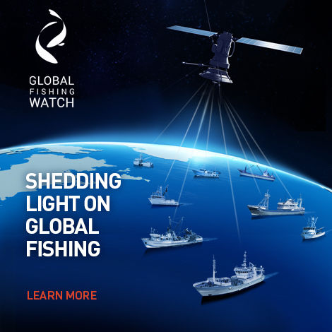 Online tool to monitor commercial fishing