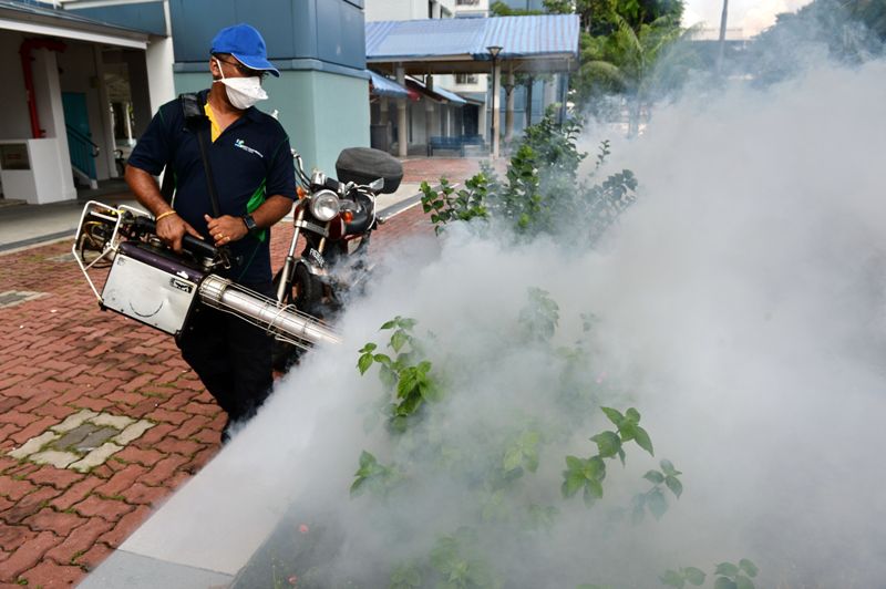 Indians vulnerable to zika virus: Study