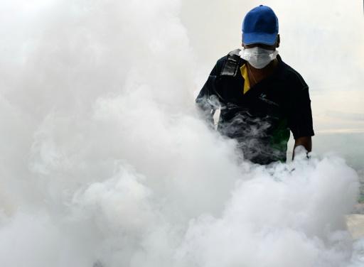 Malaysia reports first locally transmitted Zika case