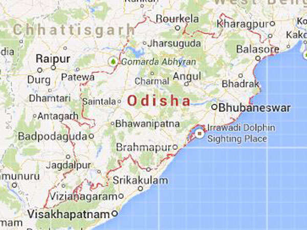 Odisha To Explore All Options On Mahanadi Water Issue