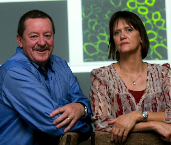 Murdoch University researchers Professor Steve Wilton and Professor Sue Fletcher