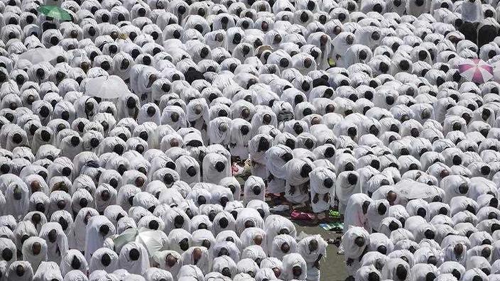 Muslim pilgrims perform the midday prayer at the Nimra Mosque            
    
              
     
     
           Show Grid