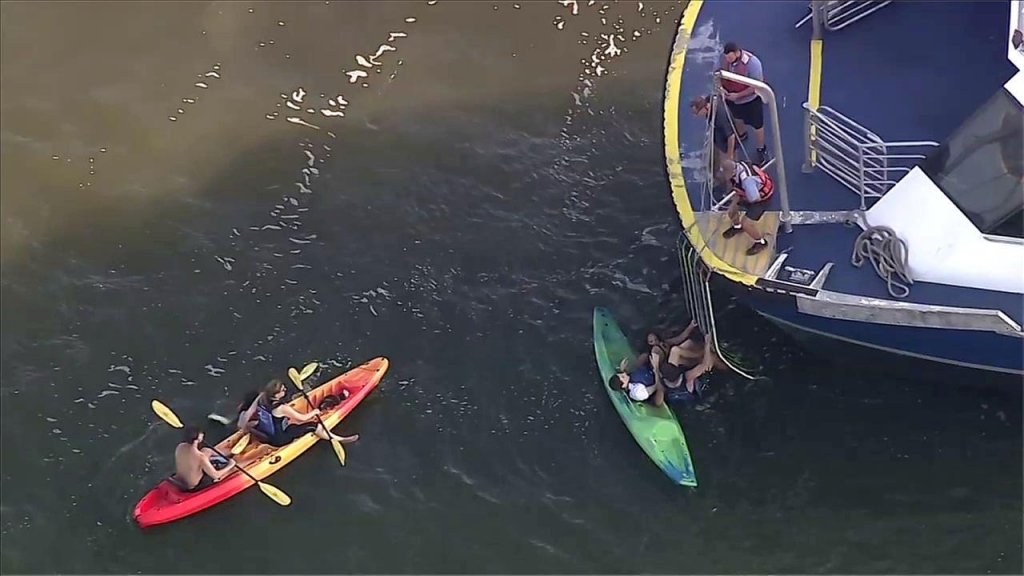 Ferry hits kayakers in Hudson River 1 critically injured