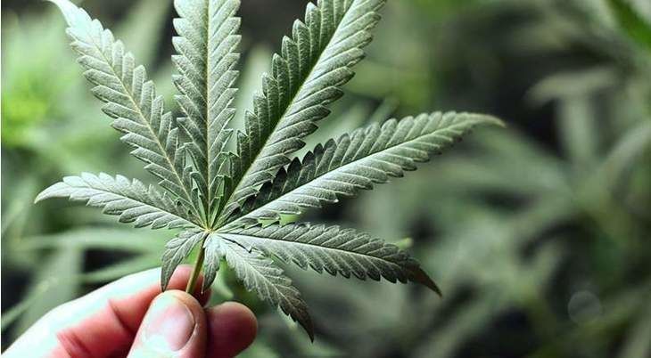 Tennessee Lawmaker Threatens to Defund Nashville and Memphis Over Marijuana Decriminalization