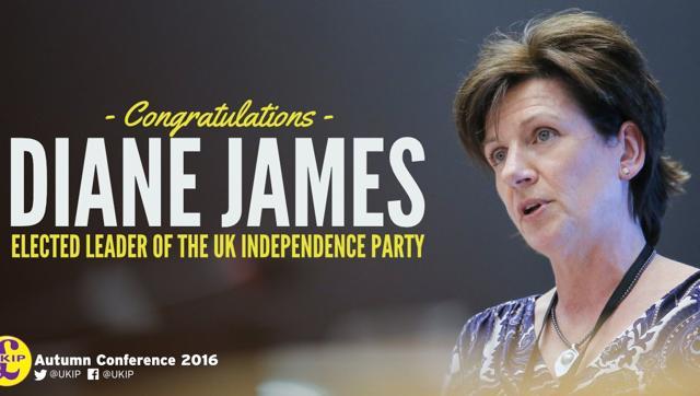 New UK Independence Party leader Diane James