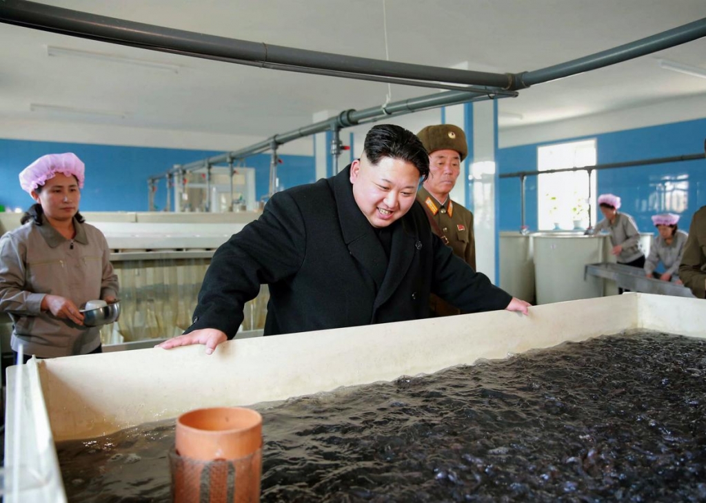 North Korean leader Kim Jong-un inspecting a catfish farm at an undisclosed location in North Korea on Dec. 12 2015. KNS  AFP  Getty Images