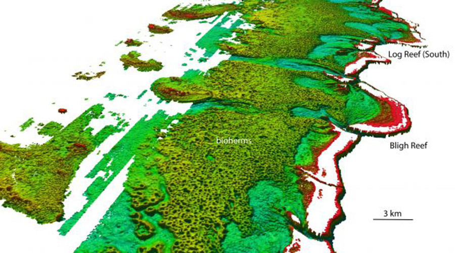 North-westerly view of the Bligh Reef area off Cape York