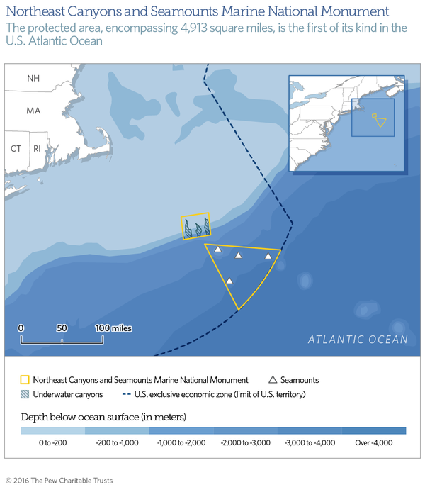 First US Atlantic Ocean Marine National Monument Is Safe Haven for Sharks, Whales, Corals, and Other Marine Life