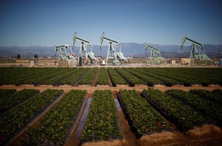 Oil pump jacks are seen next to a strawberry field in Oxnard