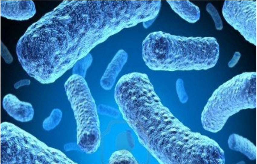 Antibiotic-resistant Bacteria Threaten Global Physical & Financial Health-Report